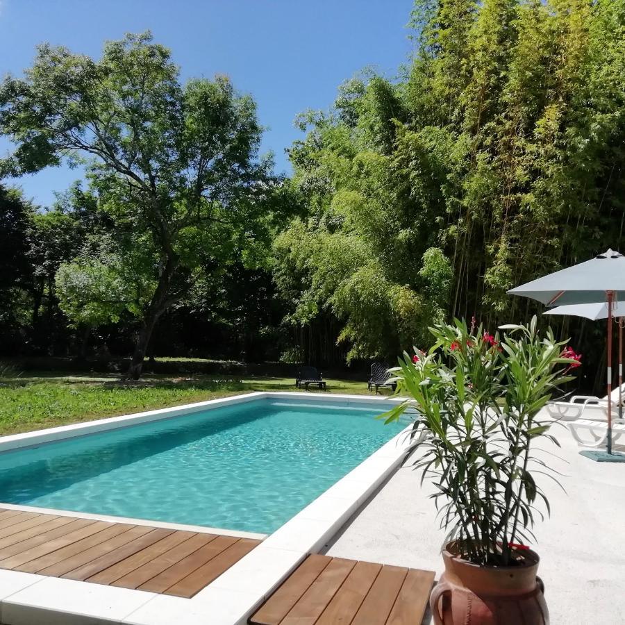 Saint-Fort-sur-Gironde Chateau Des Salles מראה חיצוני תמונה