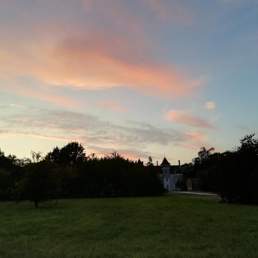 Saint-Fort-sur-Gironde Chateau Des Salles מראה חיצוני תמונה