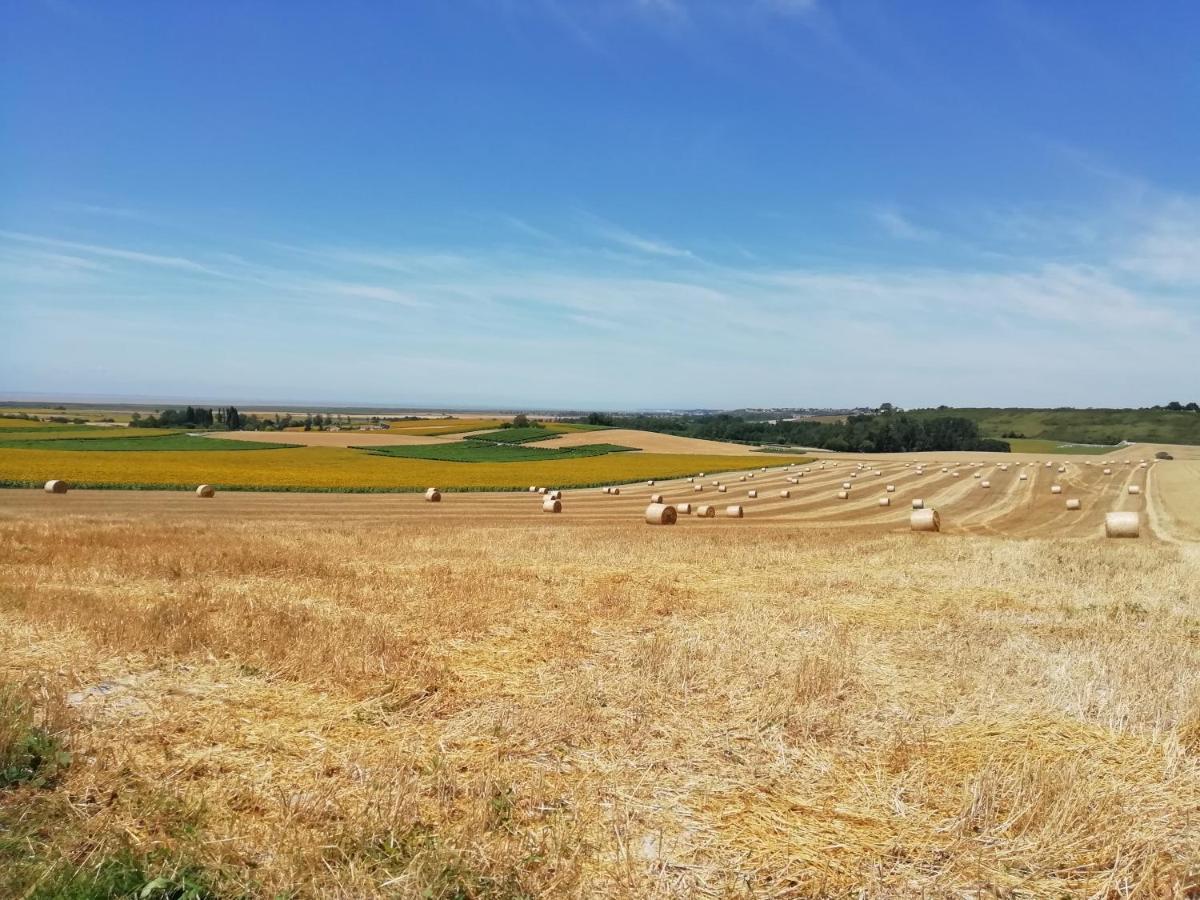 Saint-Fort-sur-Gironde Chateau Des Salles מראה חיצוני תמונה