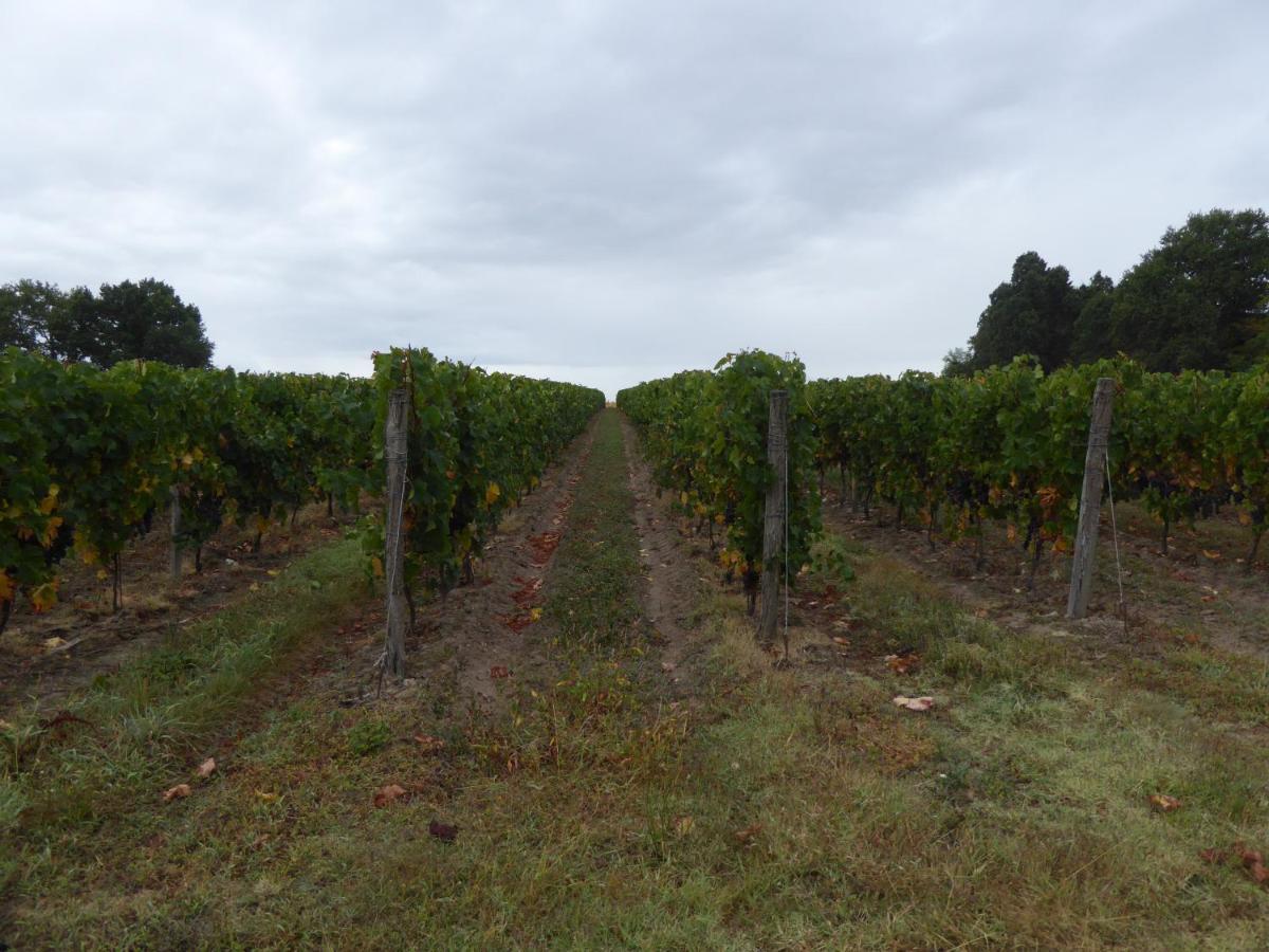 Saint-Fort-sur-Gironde Chateau Des Salles מראה חיצוני תמונה