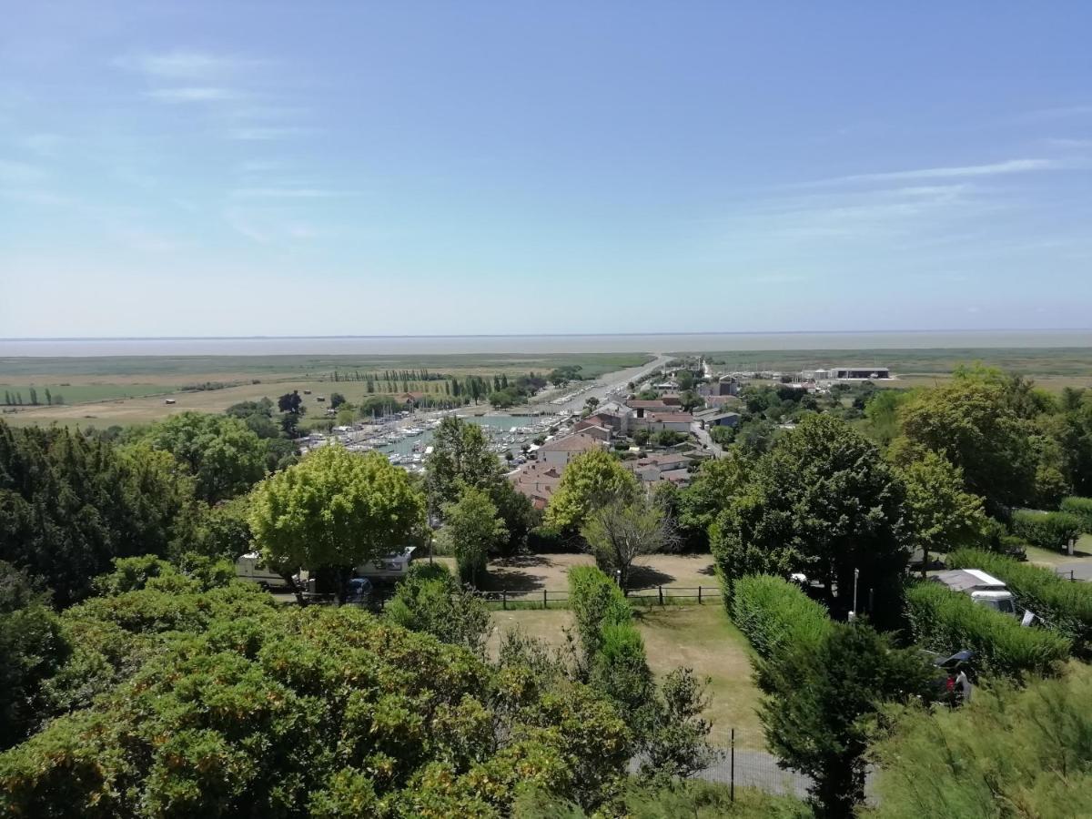 Saint-Fort-sur-Gironde Chateau Des Salles מראה חיצוני תמונה