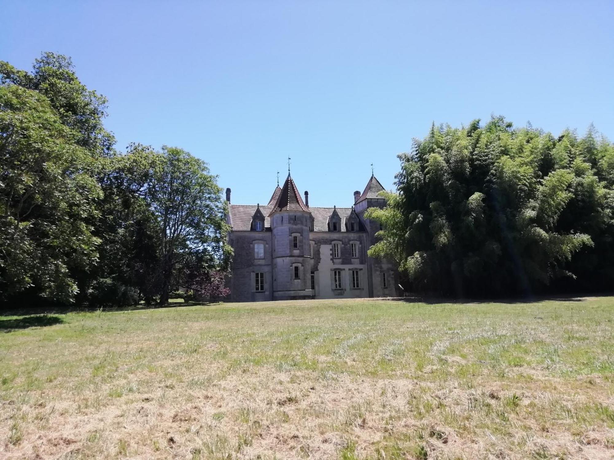 Saint-Fort-sur-Gironde Chateau Des Salles מראה חיצוני תמונה