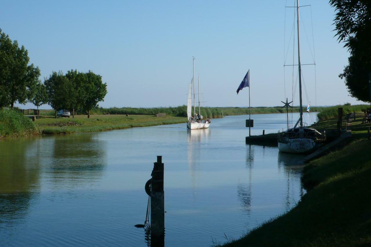 Saint-Fort-sur-Gironde Chateau Des Salles מראה חיצוני תמונה